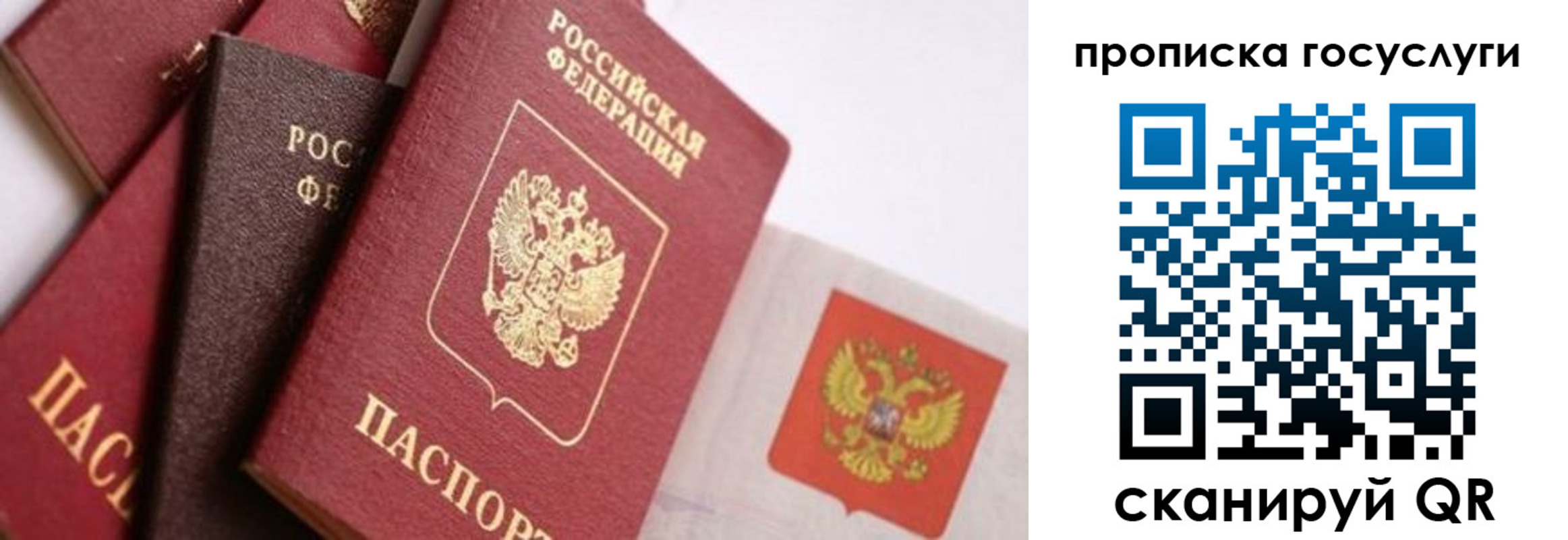 прописка законно в Сосновом Бору